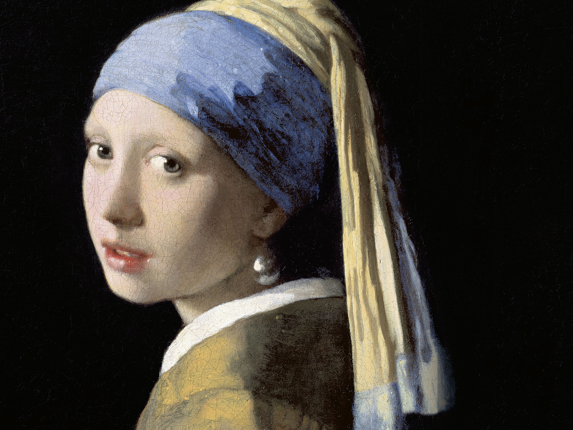 Exhibition on Screen,  Vermeer: The Blockbuster Exhibition
