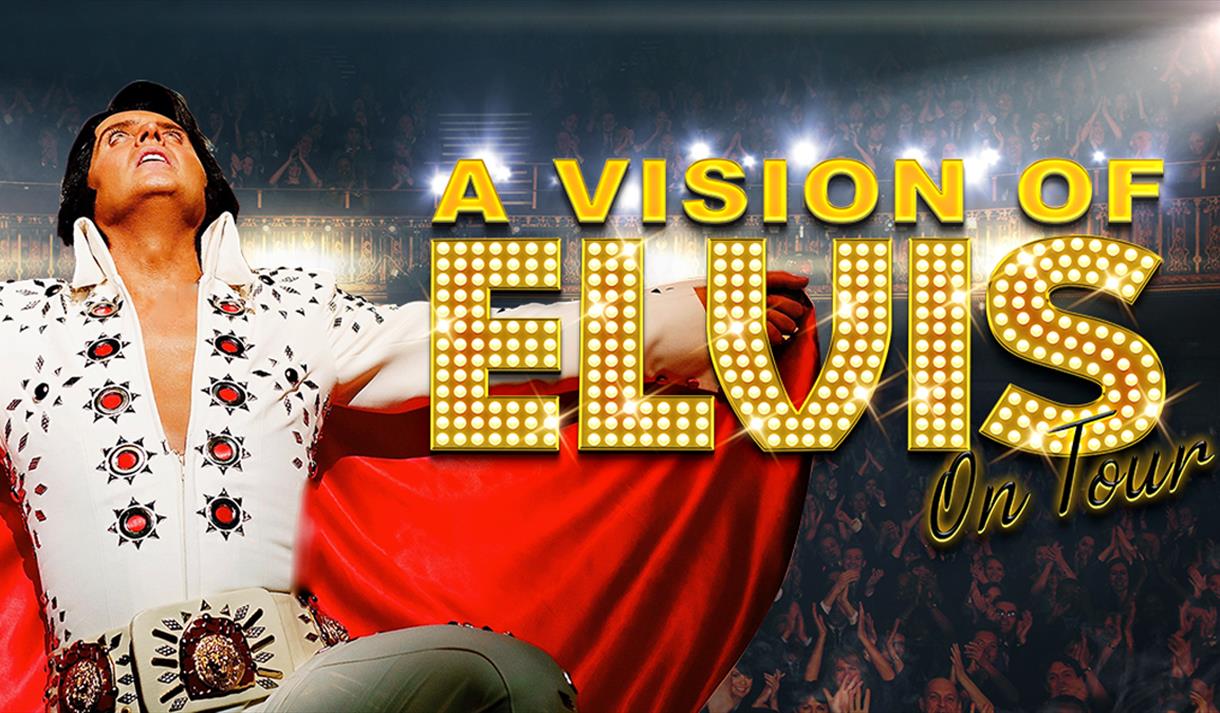 A Vision of Elvis 2024