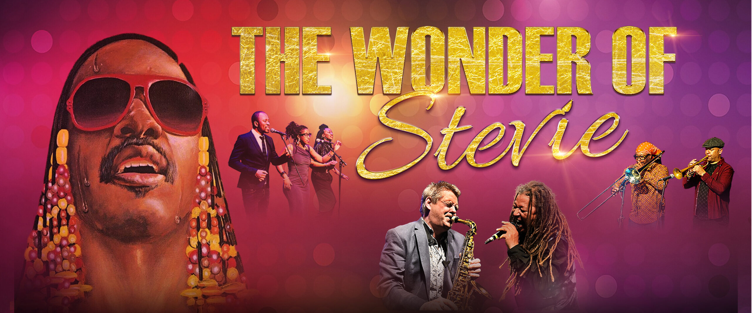 The Wonder of Stevie