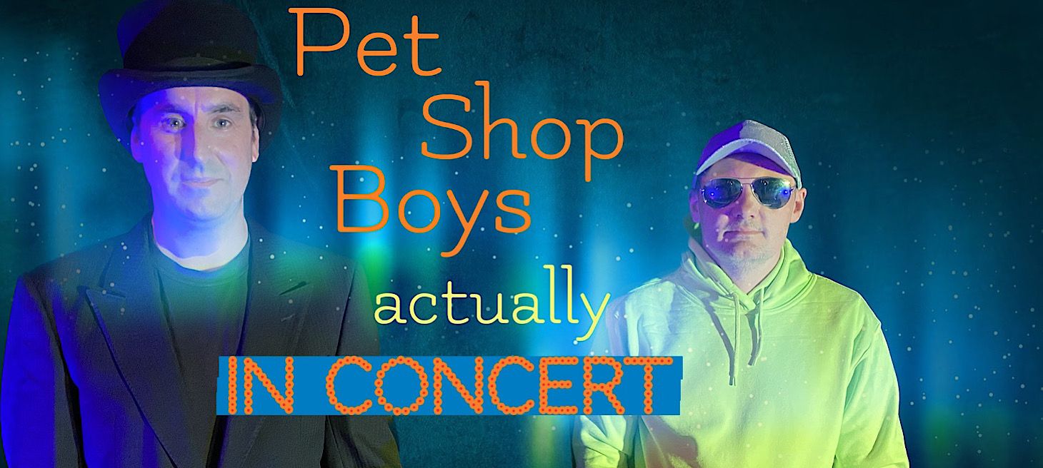 Pet Shop Boys, actually: In Concert