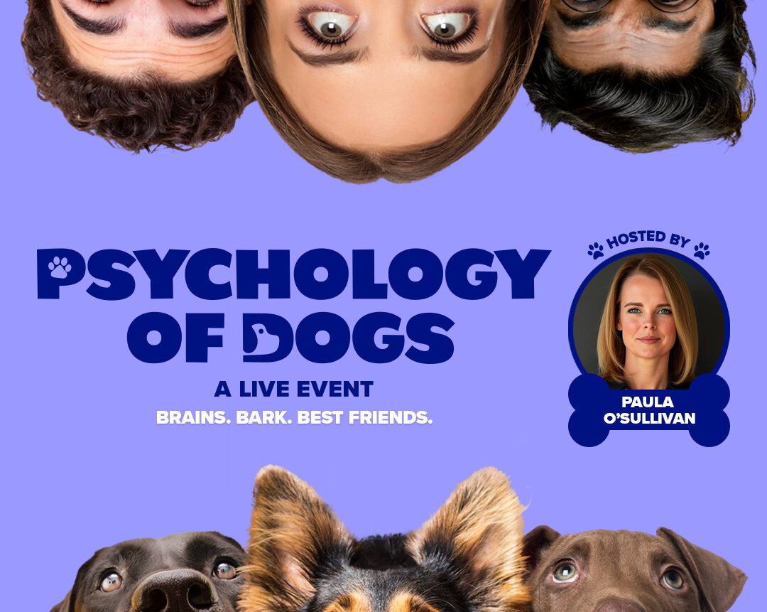 The Psychology of Dogs