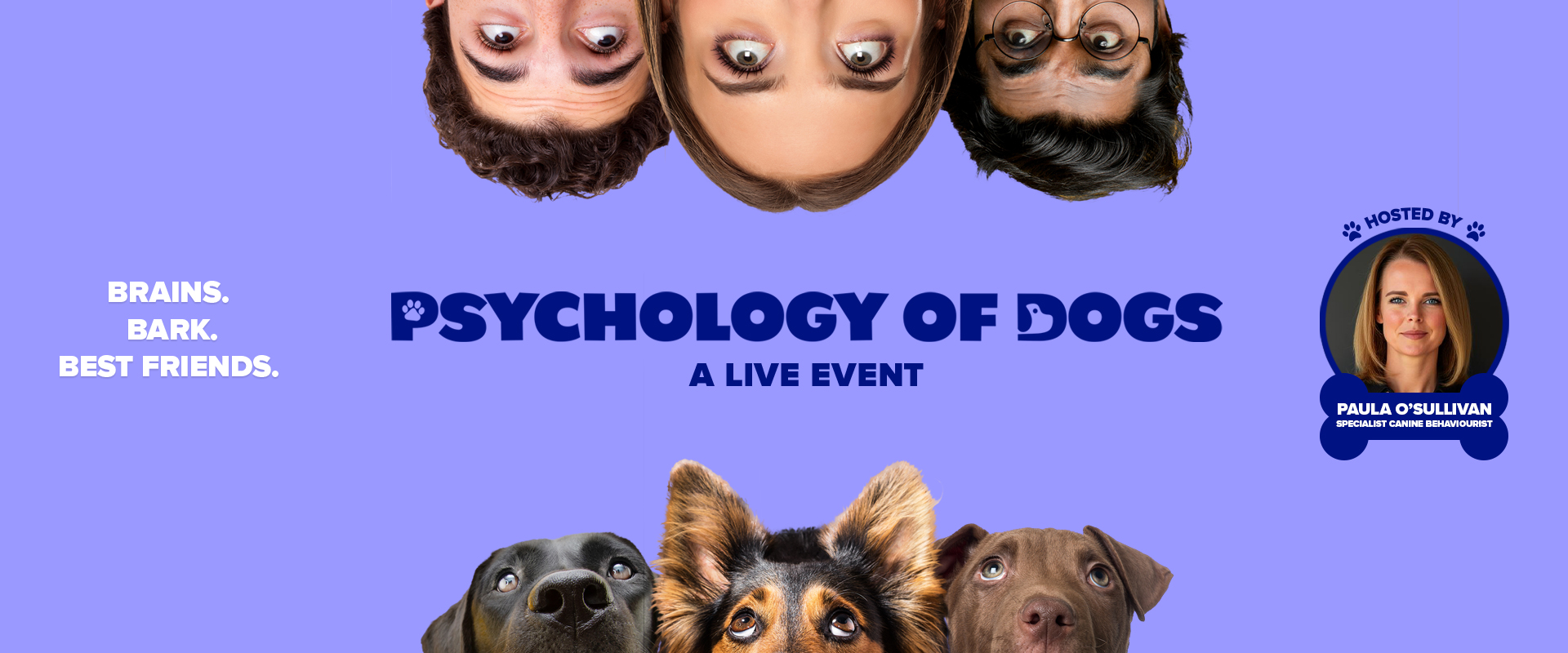 The Psychology of Dogs