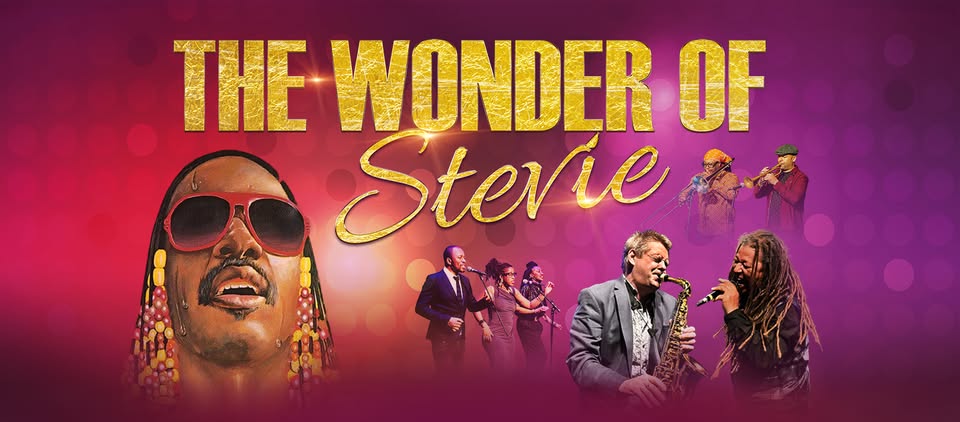 The Wonder of Stevie