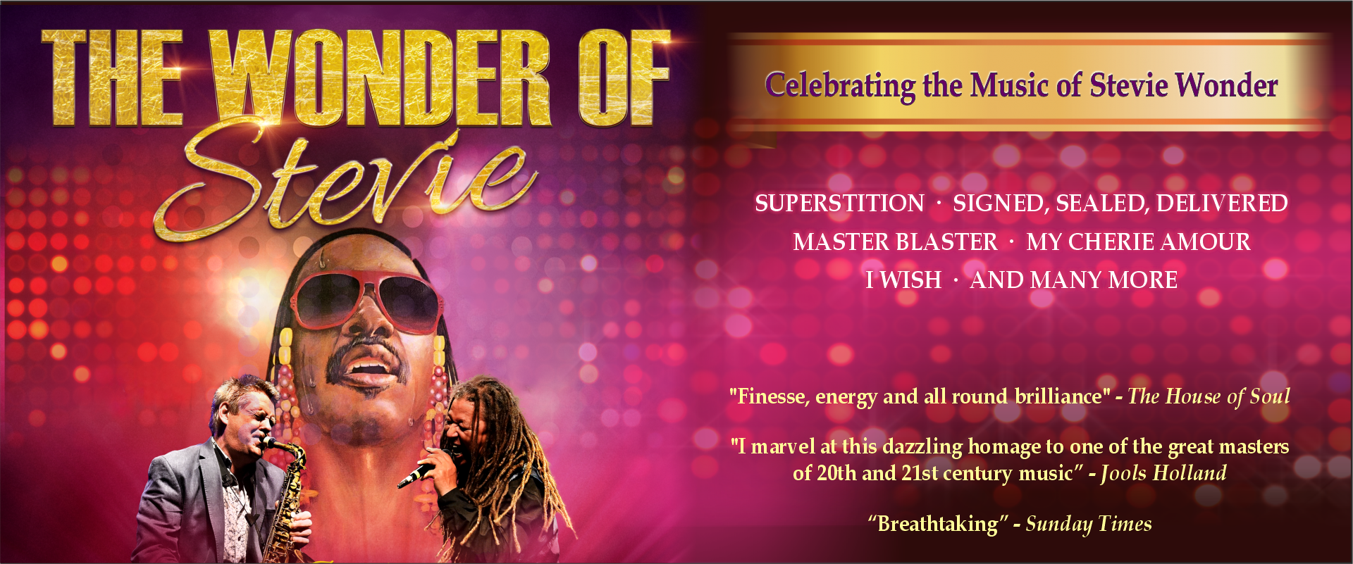 The Wonder of Stevie