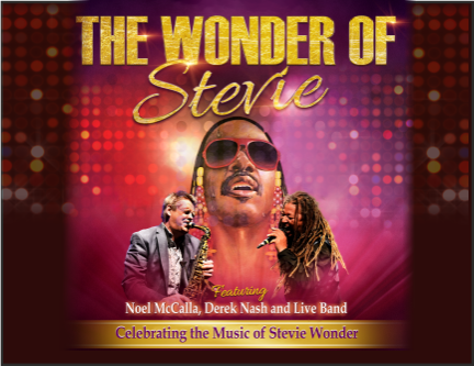 The Wonder of Stevie
