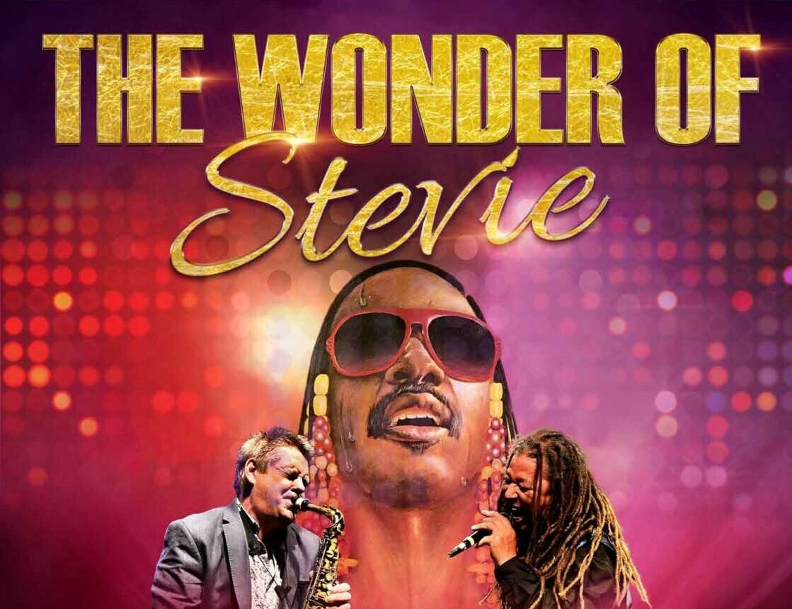 The Wonder of Stevie