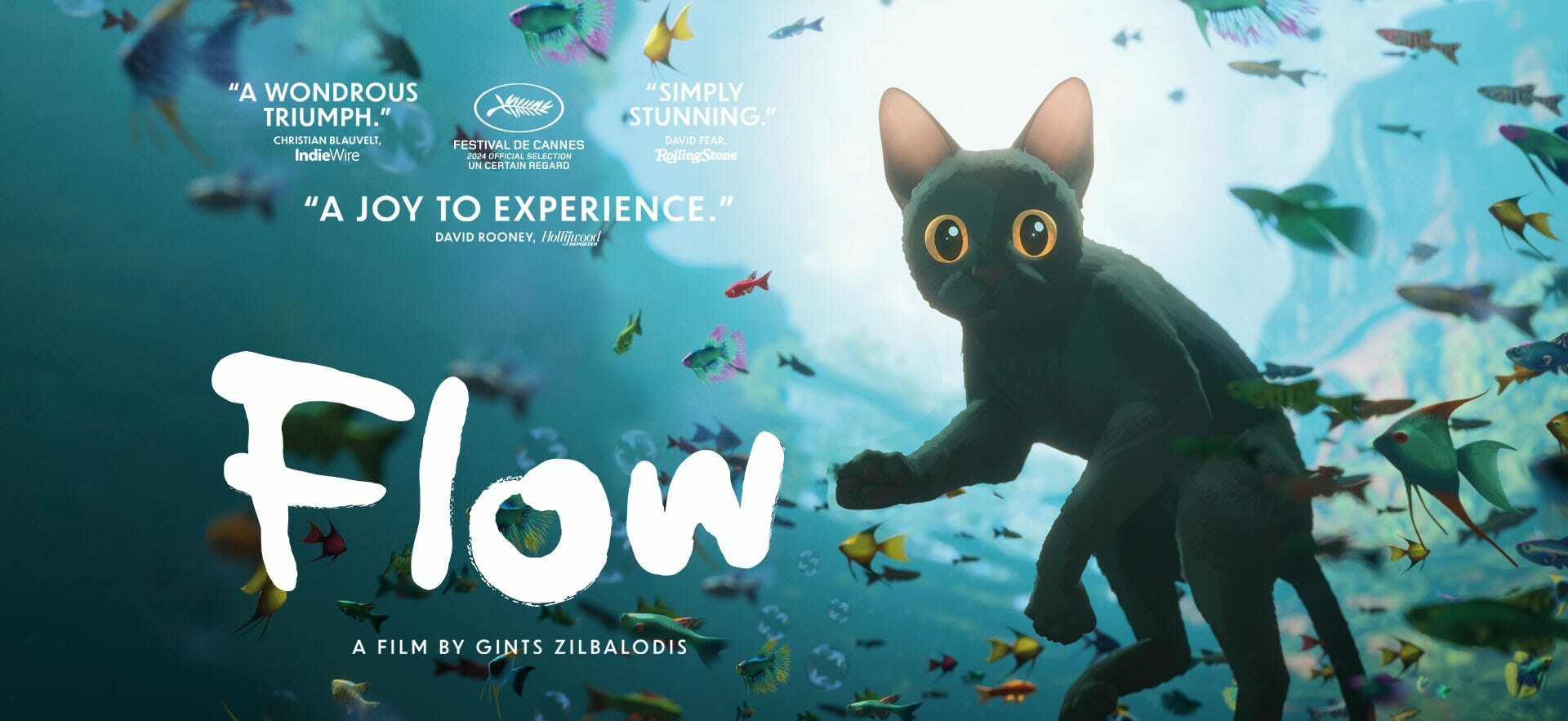 Stafford Film Theatre – Flow