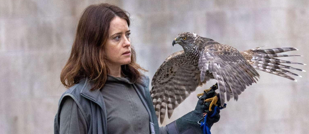 STAFFORD FILM THEATRE: H is for Hawk